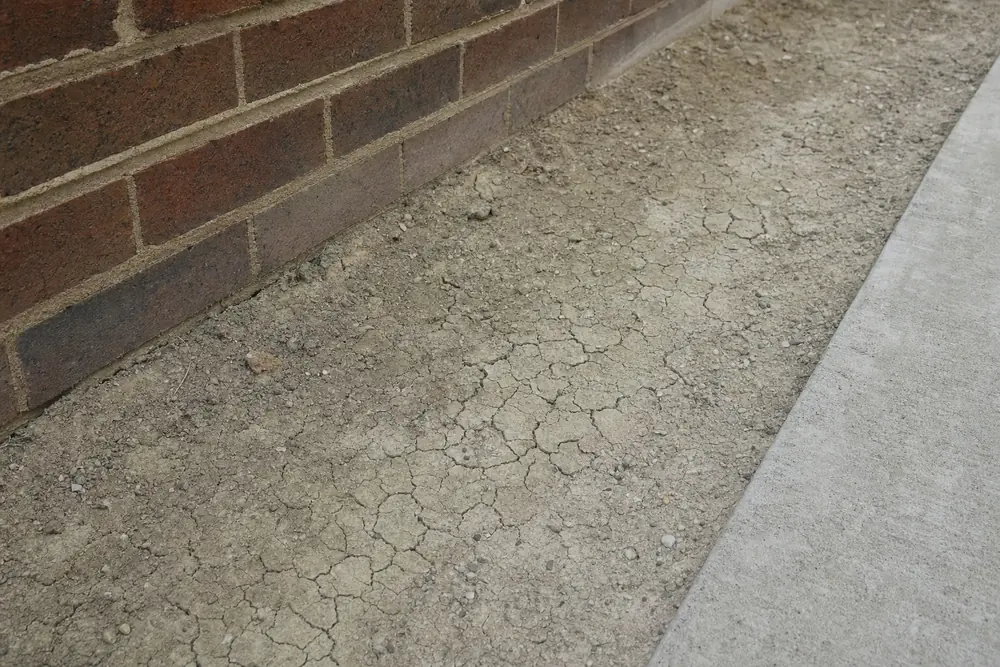 A strip of dry bare ground with a network of fine cracks between a brick wall and the edge of a concrete path — underpinning, Newcastle. Illustrative example.